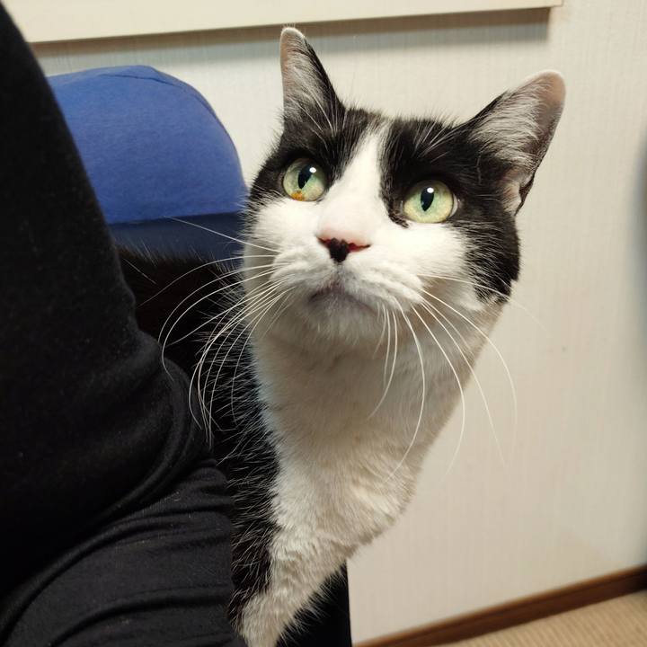 0c985631 c649 4a45 8fdf 6b34752cfa92 1773830744832