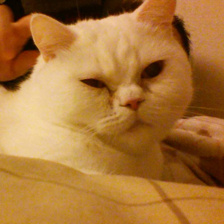 0c988072 5348 475a b963 6ca24defe2e2 1516798972755