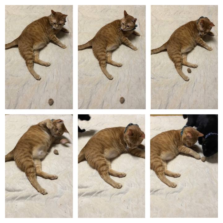 0c9892aa a408 47f4 9cf9 d2ef6459ac69 1557744990823