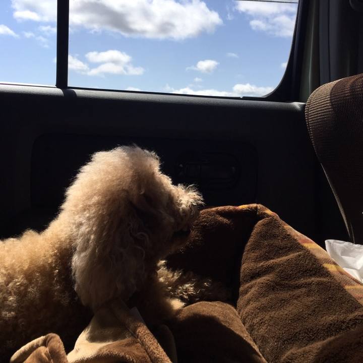 0c989879 3f41 4d9a 809a 225804bf9e3b 1560260896588