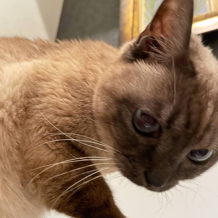 0c98c357 6def 4ab7 916f dbef848f6c59 1771326336333