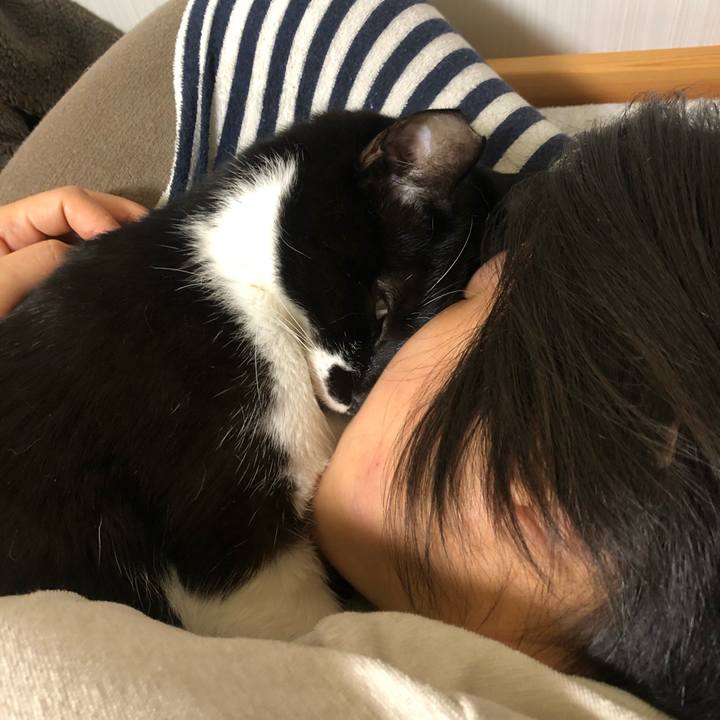 0c98e619 c4cd 4abc 9916 5b422e3f3623 1616358857622