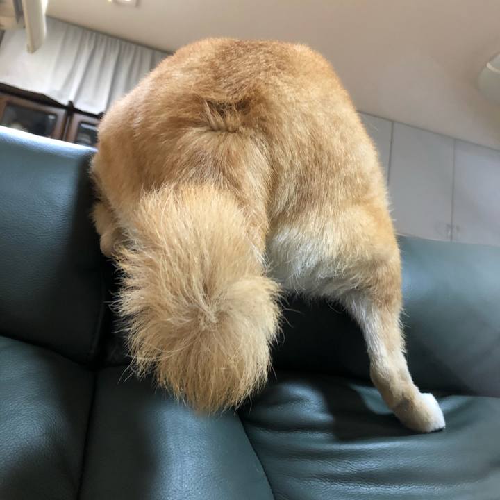 0c98f34a 63f1 47ac afce 6f1c40e84638 1579437299259