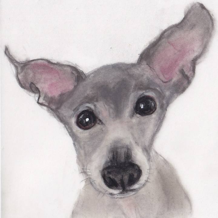 0c99010d 9411 475f a4fb 5742e99af1d9 1744371063438