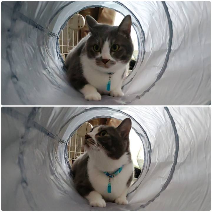 0c990d5c 06bd 4b44 9bf3 11323a7c6953 1654323815560