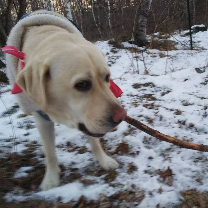 0c991e41 e144 48f4 b143 42283275e1e6 1546504606586