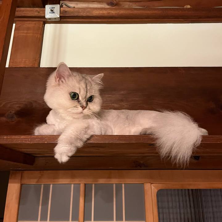 0c993462 971b 4cd6 8166 44c647d3edee 1693100472398