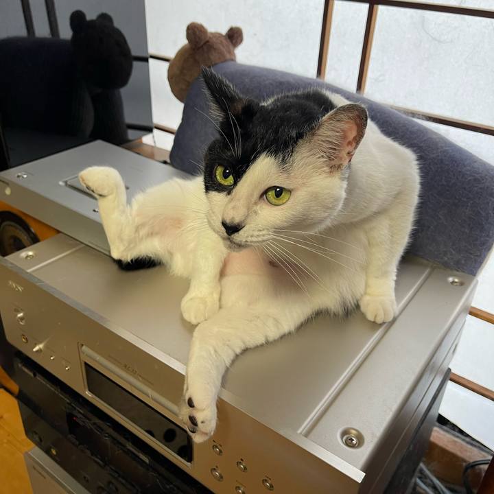 0c9941b5 8660 4a5a 84d9 2a10d0803027 1752792931400