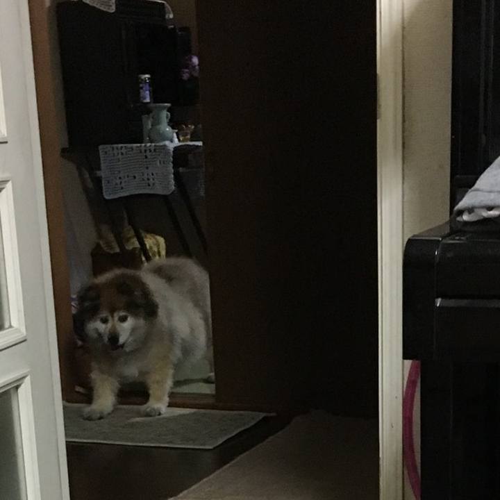 0c994322 a293 4829 89af dd5663b0abad 1587357939596