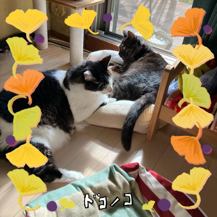 0c9973d4 6e55 49c9 804a c05412a7c0d4 1729992083857