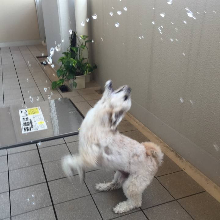 0c997547 09c3 47ad 9ab0 6a034e879eec 1529664280413