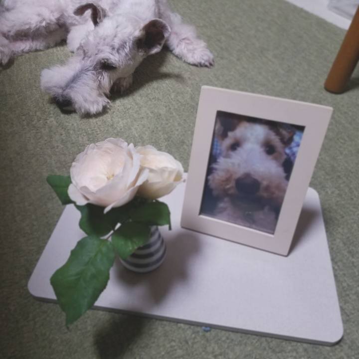 0c997fa7 3829 498b 8199 dac8766fe3c5 1601522391360