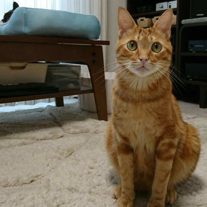 0c99a319 d2a8 4249 a3ef 7abfdd81d904 1528410020811