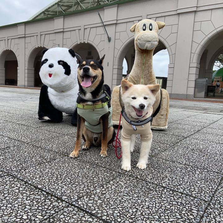 0c99b339 2b6f 40d7 9a27 110b3608345b 1688595795369