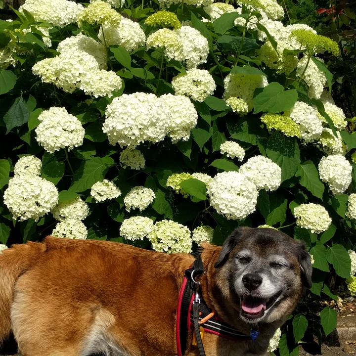 0c99e3a0 b89b 4bfd 9972 2827afba7bf1 1527904393031