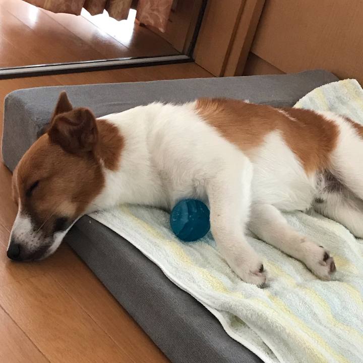 0c9a1d5f f260 424c ba12 a7c8e76f7b4b 1588488277952