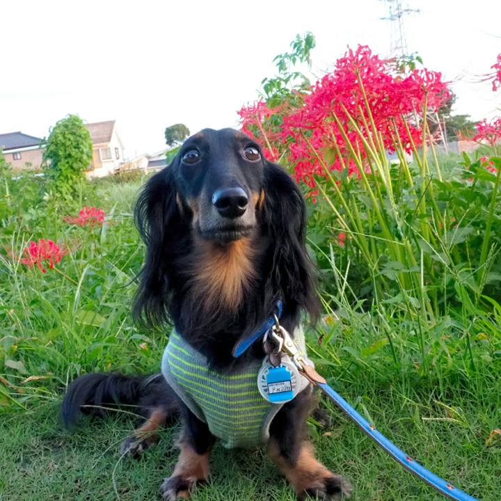 0c9a425e 16cc 4053 a9c1 cf38795ef61f 1537755033386