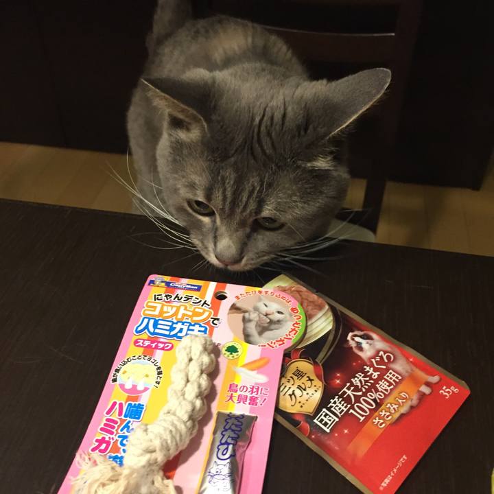 0c9a516e f0b1 4312 a503 0ea60f6ce581 1532789387806