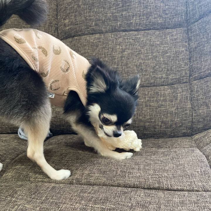 0c9a5462 1bbb 45b9 b803 5cfe6464a620 1697298847510