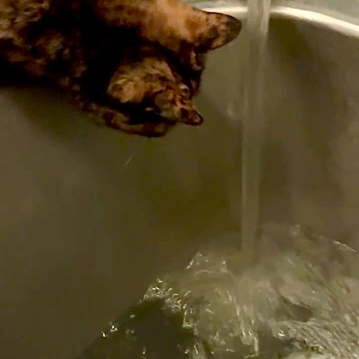 0c9a7ac6 20f3 4ad8 b471 f741248f4dec 1762546461546