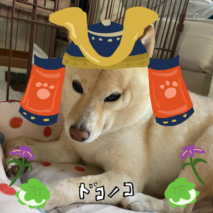 0c9ad199 7f07 4aae b7dc 5a3f351515dc 1714891474031