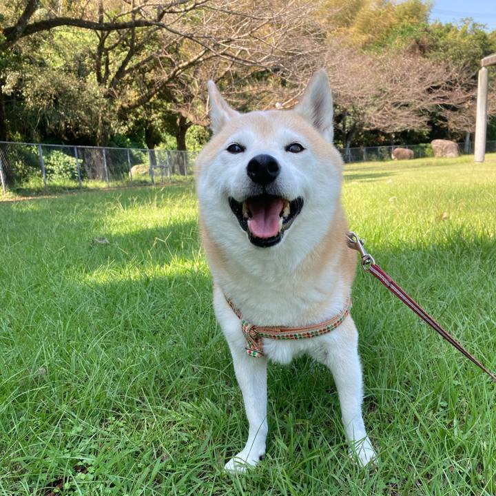 0c9ad6e8 f8ec 4256 a363 f7f1d74dd541 1604498681493