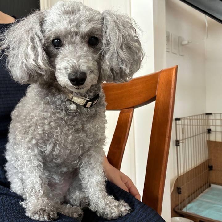 0c9adcdd 87c8 4137 acb2 03228bdb13eb 1754984335220