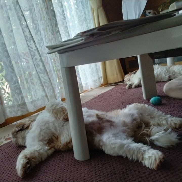 0c9ae8d2 aa68 45da 807c 2bf096614576 1653108259243