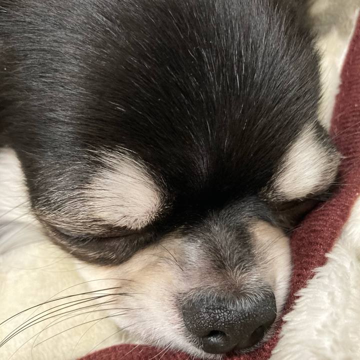 0c9b1f72 8e05 417a 90b8 360efca14033 1608993070632