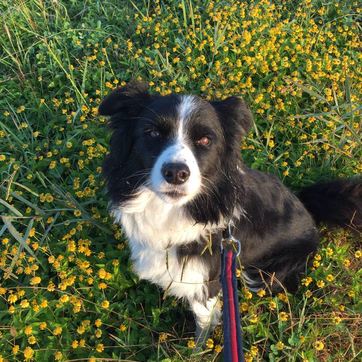 0c9b3f93 a6ce 4df0 a3ca c03d94597fa5 1573167959452