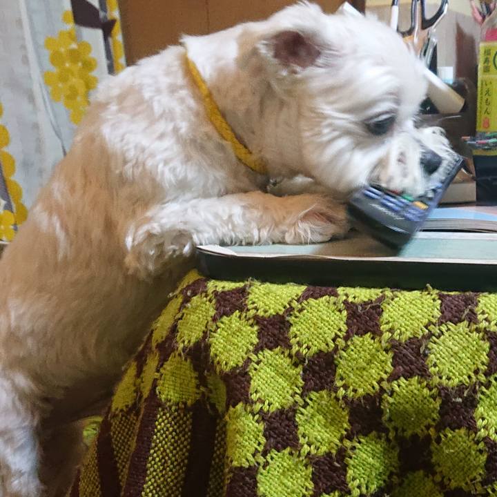 0c9b4a67 c7b4 4d7d 8767 7872ebd55f47 1613565247287