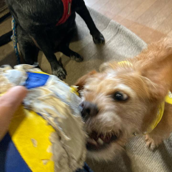 0c9b4a68 2869 404f acaf 0947c3fd7b07 1658660856040