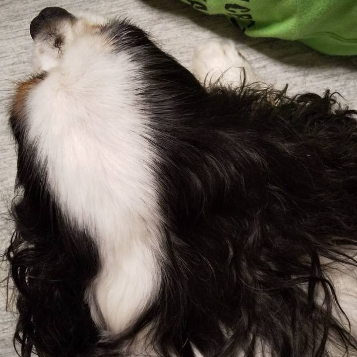 0c9b6e3a d3a3 4d9c 86a7 b53f70ca1719 1566650501522