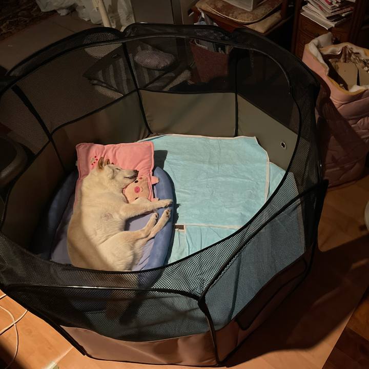 0c9b873d 66f9 40d2 b57d 781cf8abd3d2 1652452063305