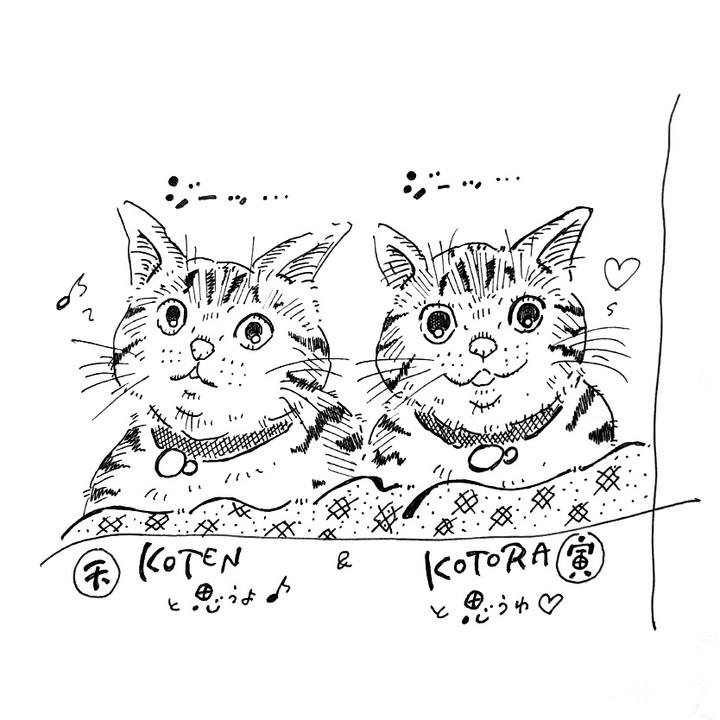 0c9b878b 0290 496a 90bd 794ce8978454 1575559550863