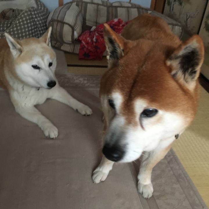 0c9b967f 4194 49a1 b1b0 0a9318f3af3b 1524784625891