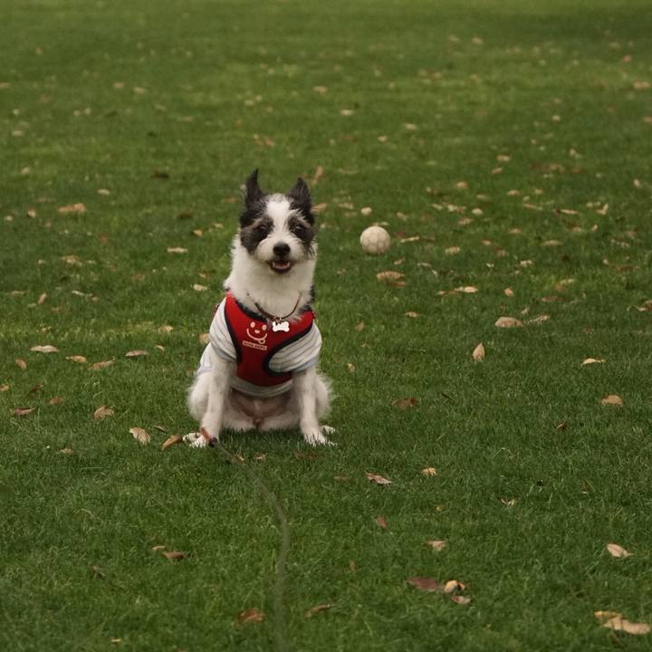 0c9bb53c ef62 4e2b b1ff 97248072b7fc 1657966548401