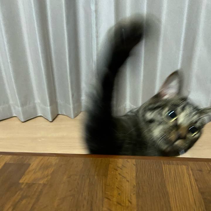 0c9bbf60 3c91 4e3d a6c7 2ed246a6195f 1634556294837