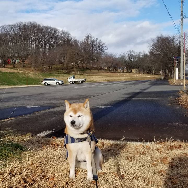 0c9be945 989c 4ee7 880c 90ad79ef51c2 1671513381261