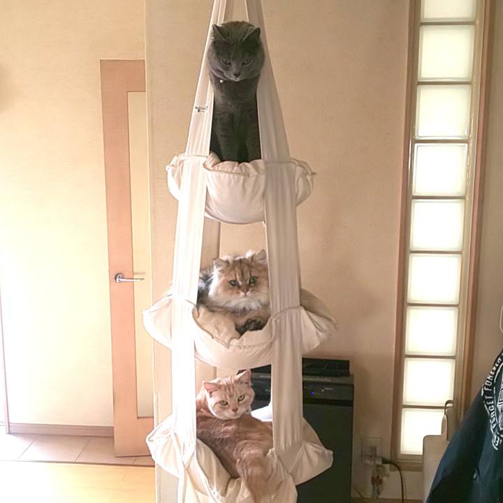 0c9bfa47 b654 4fbc 9973 5b01e17c6391 1586241956928