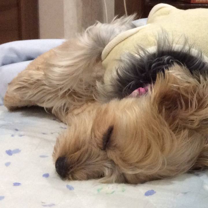 0c9c4825 0e14 441b a3ec f8423b82d1af 1574075401933