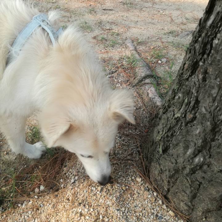 0c9c5249 2fd3 434c 8264 fb1fd874e1fa 1507683795917