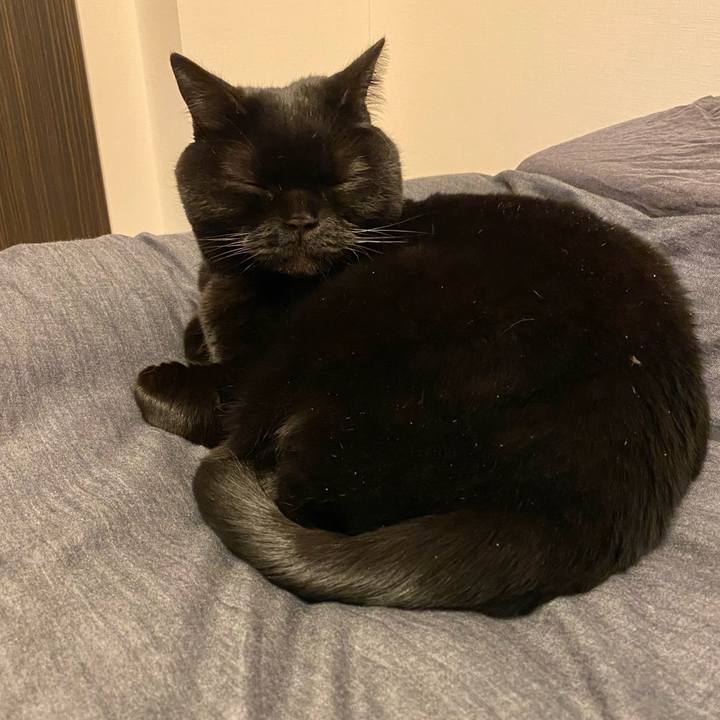 0c9c5cd7 7c9f 43a5 9178 2c37c1f6e9eb 1676900306477