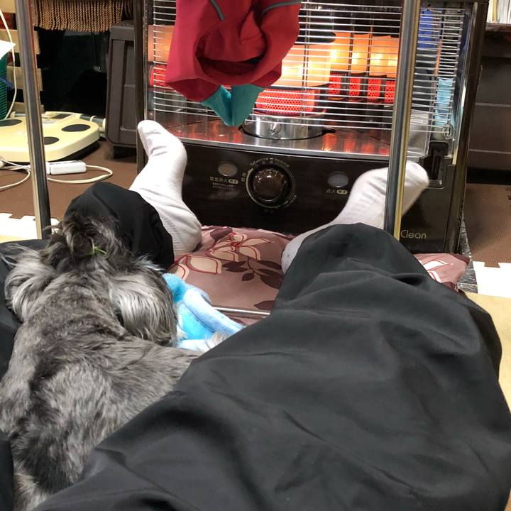 0c9c6c8d 3211 4f9f afe6 7b84cc98fd1e 1513401163285