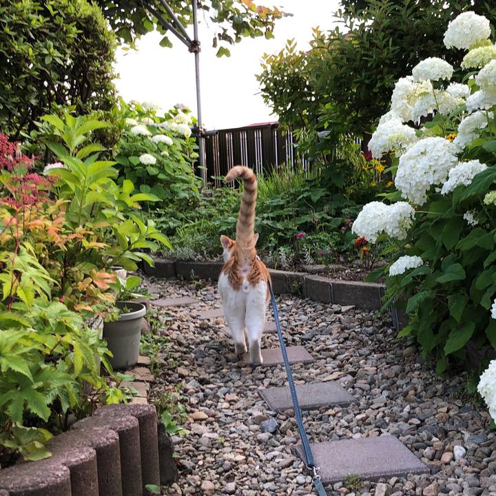 0c9c88d6 5341 4d4c 9620 09e5f929870f 1562056661955