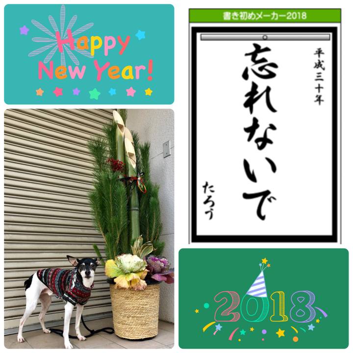 0c9c8f44 a6da 4bd9 8e63 06ad6610385c 1515538433438