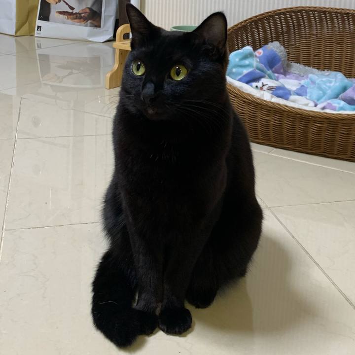 0c9cc8e6 0c40 4301 b160 ec824d3e9f1e 1604500890444