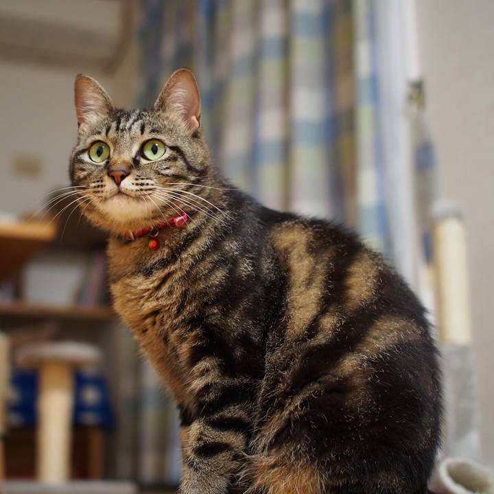 0c9cc937 e2c5 4f6b b0b8 5238bcad2b97 1594639143658