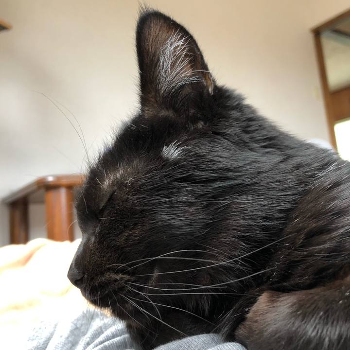 0c9cd09c 1d11 46be b166 24ebfd79b916 1561785235771