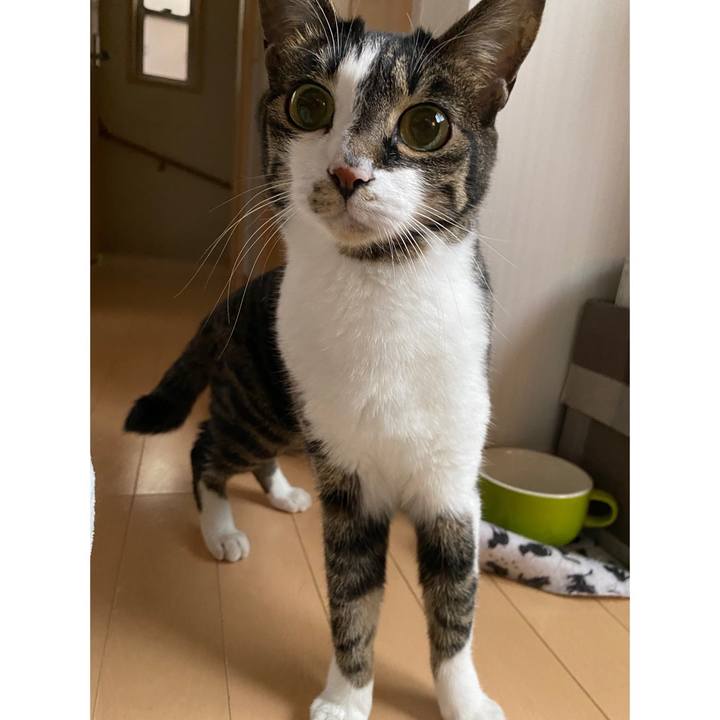 0c9cd25e 68af 430f 8e85 9451b03b4155 1682908930301